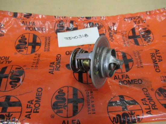 7540318 Thermostaat