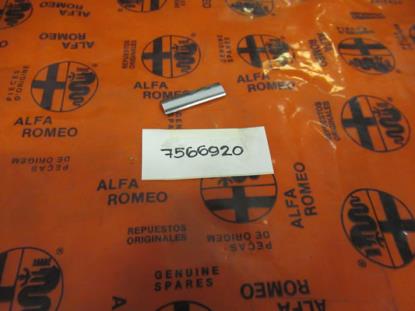 7566920 Voorruit sierstuk