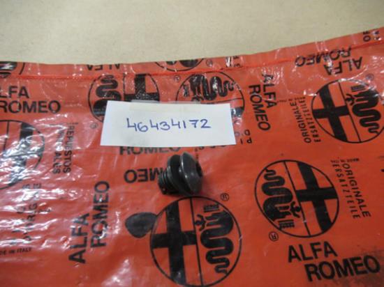 46434172 Deurslot bout met ring