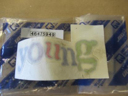46475949 Embleem Young