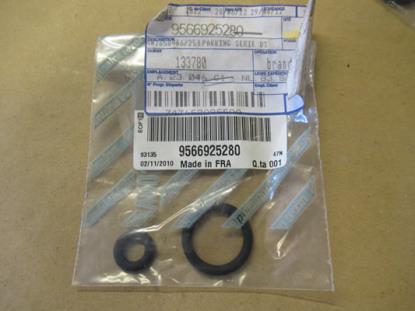 9566925280 Brandstofinjectie pakking