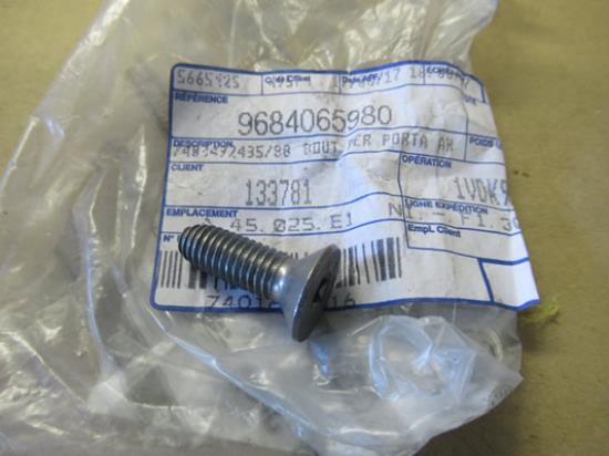 9684065980 Portierslot schroef M8x125-25