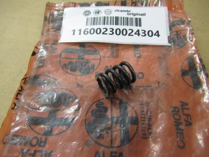 11600230024304 Veertje