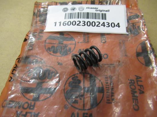 11600230024304 Veertje