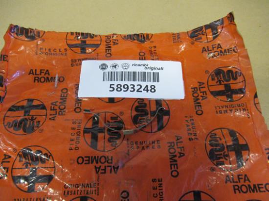 5893248 Panorama dak veer Webasto