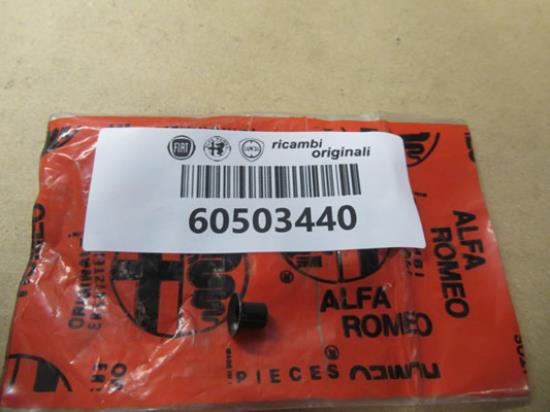 60503440 Dorpellijst borgring