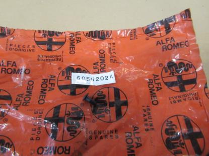 60562024 Portier plug