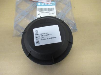 77363971 Koplamp afdekkap