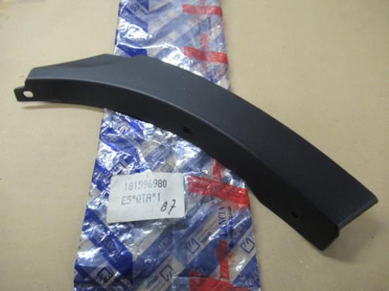 181596980 Wielkuip sierlijst rechtsachter