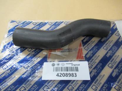 4208983 Radiateurslang