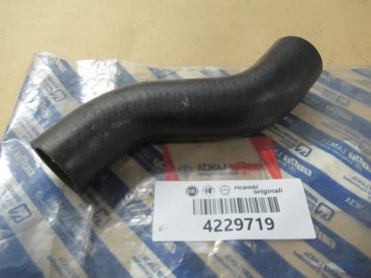 4229719 Radiateurslang