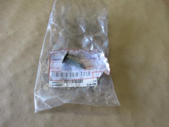 50506080 Klinknagel