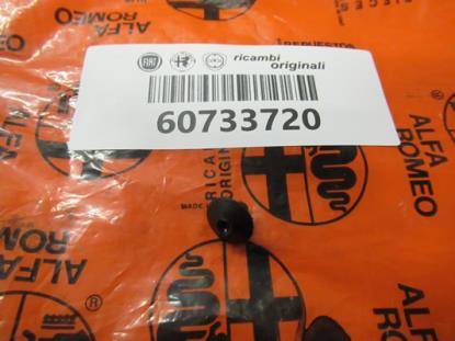 60733720 Plug