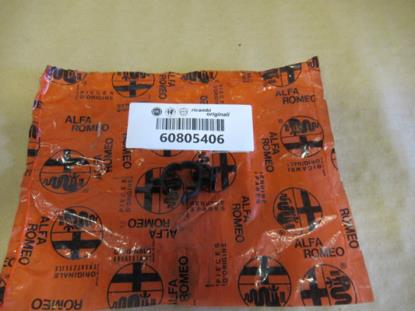 60805406 Raambediening veertje