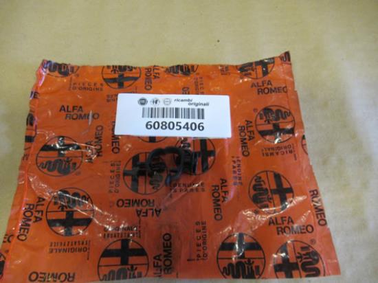 60805406 Raambediening veertje