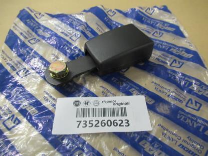 735260623 Gordeltulp