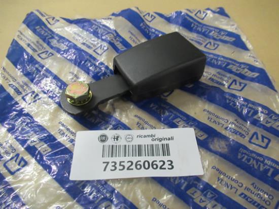 735260623 Gordeltulp