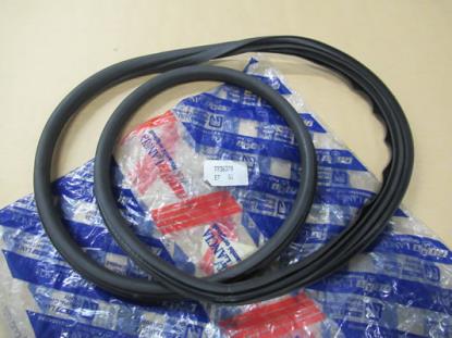 7736379 Zijruit pakking