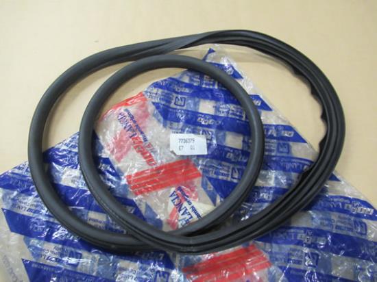 7736379 Zijruit pakking