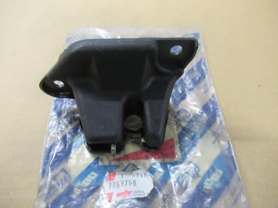 7769750 Achterklep slot