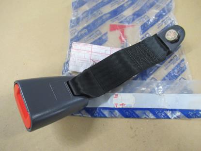 714674812 Achterbank gordeltulp