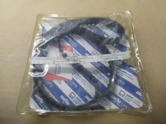 7533266 Distributieriem