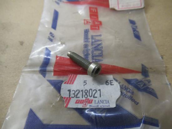 13218021 Dakdrager bout