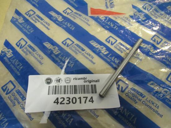 4230174 Brandstofpomp peilstok