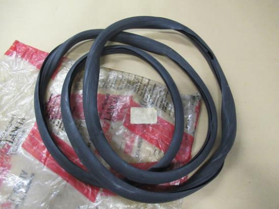 4398364 Voorruit profielrubber