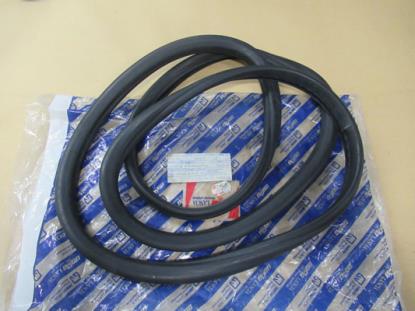 4403813 Voorruit profielrubber