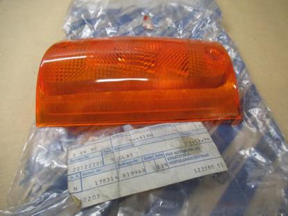 4446186 Knipperlicht glas linksvoor