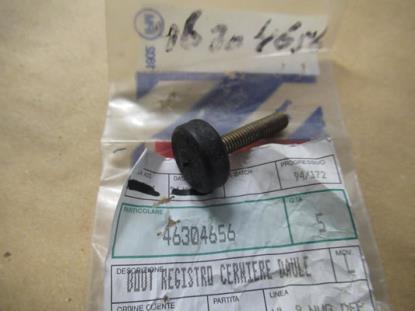 46304656 Achterklep scharnier bout