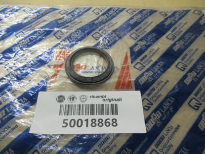 50018868 Achterklep pakking