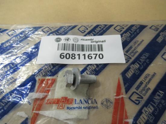 60811670 Bout met ring