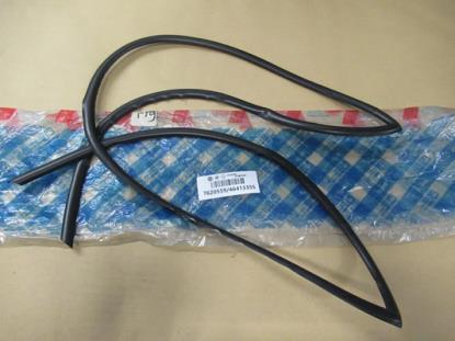 7620559 Voorruit profielrubber