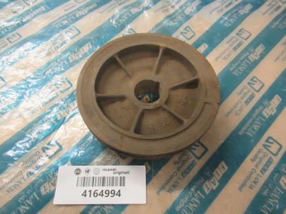 4164994 Krukaspoelie