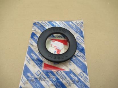 7598566 Brandtsof toevoerleiding ringmoer