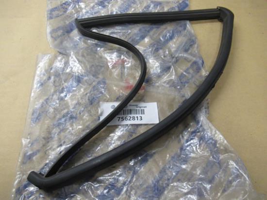 7562813 Raamrubber linksachter