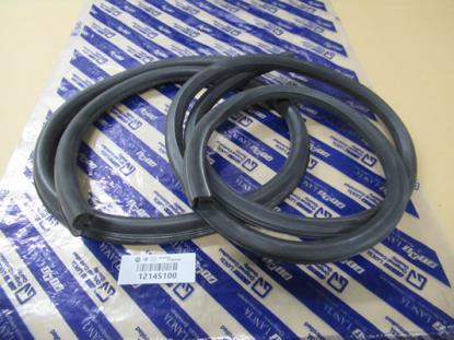 12145100 Voorruit profielrubber