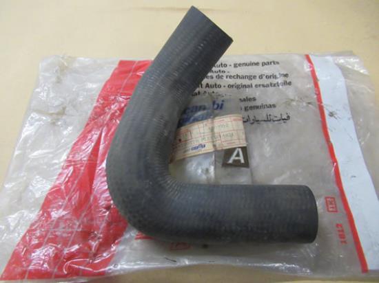 4300052 Radiateurslang