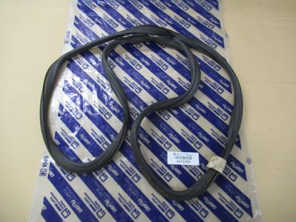 4313397 Voorruit profielrubber