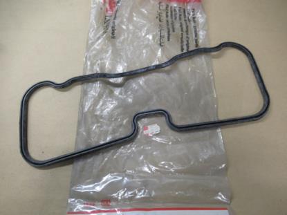 5450155 Kleppendeksel pakking