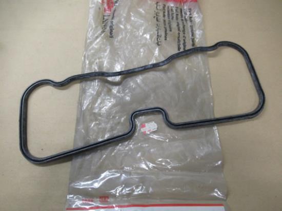 5450155 Kleppendeksel pakking