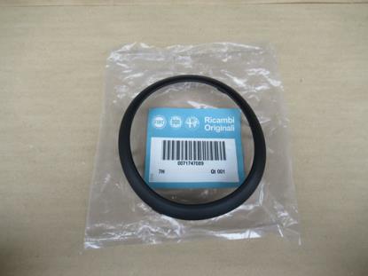 71747089 Versnellingspook sierstuk