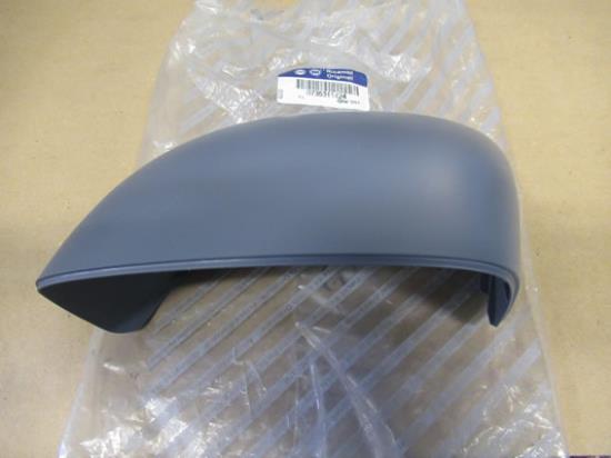 735311424 Buitenspiegel kap linkerzijde