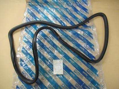 7550572 Achterruit profielrubber