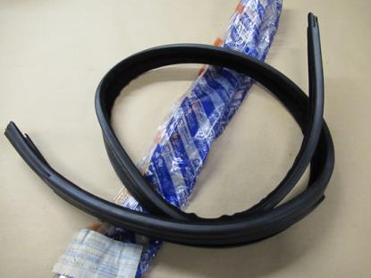 7563895 Portier raamrubber voorzijde