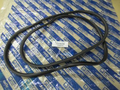 7566914 Achterruit profielrubber