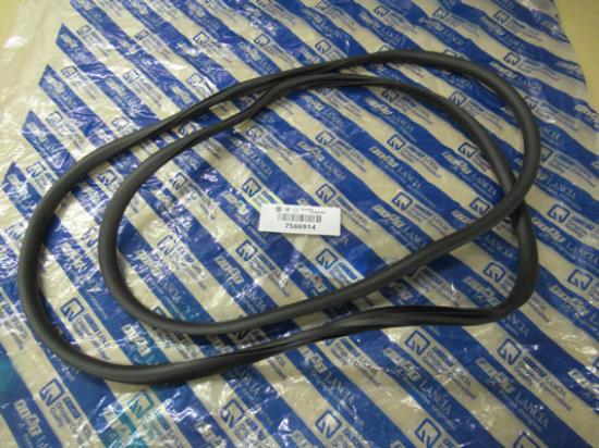7566914 Achterruit profielrubber