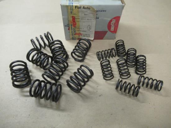 7300290 Klepverenset